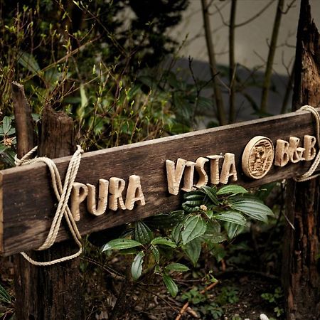 B&B Pura Vista Zandhoven Zewnętrze zdjęcie